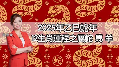 2025年蛇年運程|2025蛇流年運程 